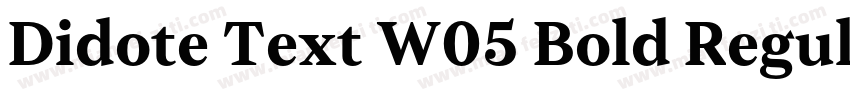 Didote Text W05 Bold Regular字体转换
